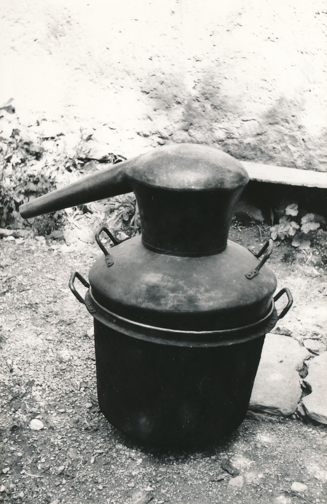 eika image